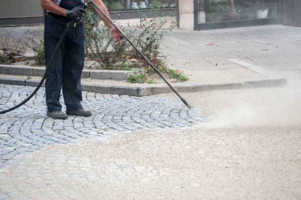 Best Pre-Holiday Cleaning  in , GA
